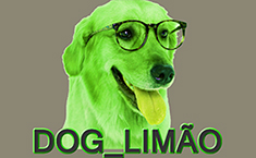 Dog_Limão 005 – Notícias bizarras e Resumo das novelas